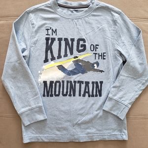 Gymboree Boys' Long Sleeve King of the Mountain Tee -BLUE -SIZE 10